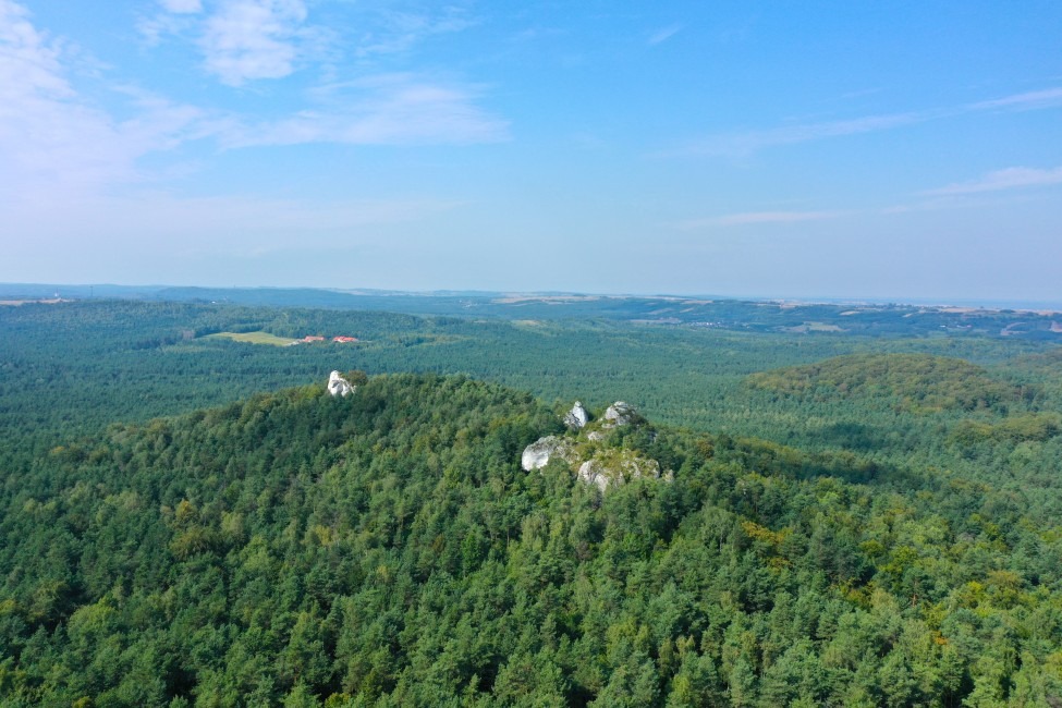  Jura Krakowsko-Częstochowska, widok z Góry Zborów, fot. Lesław Nowak UMWSL 